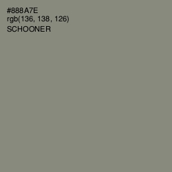 #888A7E - Schooner Color Image