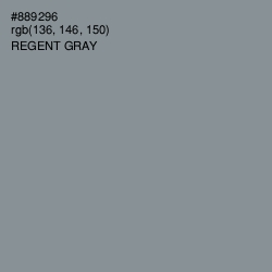 #889296 - Regent Gray Color Image