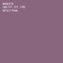 #89657E - Spicy Pink Color Image