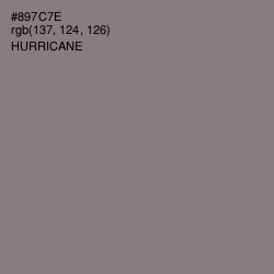 #897C7E - Hurricane Color Image