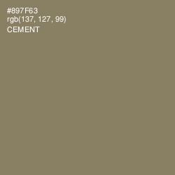 #897F63 - Cement Color Image