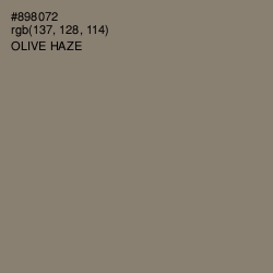 #898072 - Olive Haze Color Image