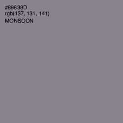 #89838D - Monsoon Color Image