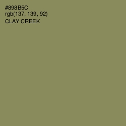 #898B5C - Clay Creek Color Image