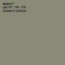 #898B77 - Granite Green Color Image