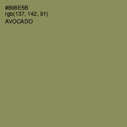 #898E5B - Avocado Color Image