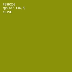 #899208 - Olive Color Image