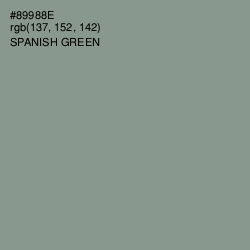 #89988E - Spanish Green Color Image