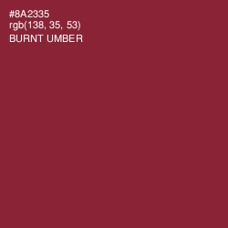 #8A2335 - Burnt Umber Color Image