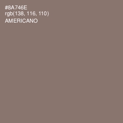 #8A746E - Americano Color Image