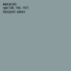 #8A9C9D - Regent Gray Color Image