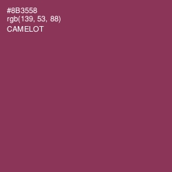 #8B3558 - Camelot Color Image