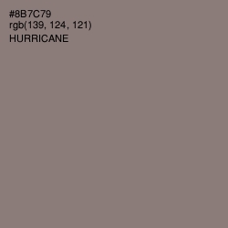 #8B7C79 - Hurricane Color Image