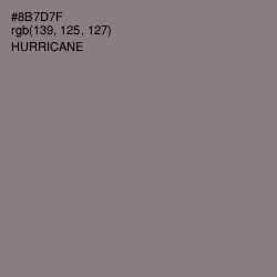 #8B7D7F - Hurricane Color Image