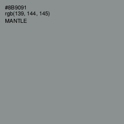 #8B9091 - Mantle Color Image