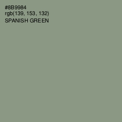 #8B9984 - Spanish Green Color Image
