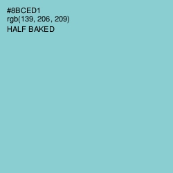 #8BCED1 - Half Baked Color Image