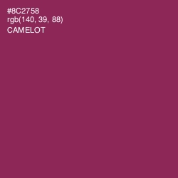 #8C2758 - Camelot Color Image