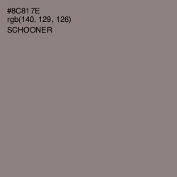 #8C817E - Schooner Color Image