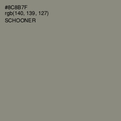 #8C8B7F - Schooner Color Image