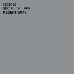 #8C9195 - Regent Gray Color Image