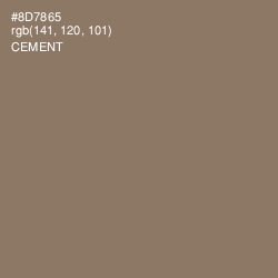 #8D7865 - Cement Color Image