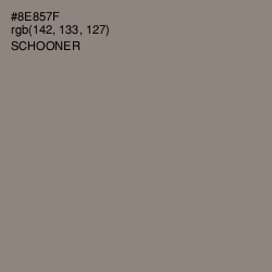 #8E857F - Schooner Color Image
