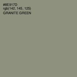 #8E917D - Granite Green Color Image