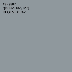 #8E989D - Regent Gray Color Image