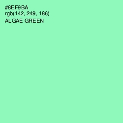 #8EF9BA - Algae Green Color Image