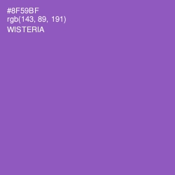#8F59BF - Wisteria Color Image