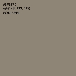 #8F8577 - Squirrel Color Image