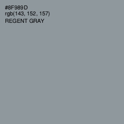#8F989D - Regent Gray Color Image