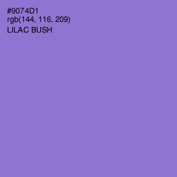 #9074D1 - Lilac Bush Color Image