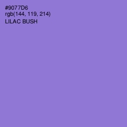 #9077D6 - Lilac Bush Color Image