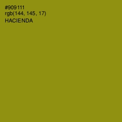 #909111 - Hacienda Color Image