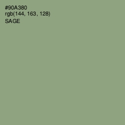 #90A380 - Sage Color Image