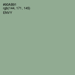 #90AB91 - Envy Color Image