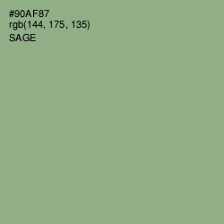 #90AF87 - Sage Color Image