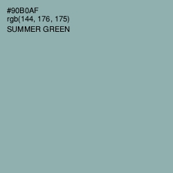 #90B0AF - Summer Green Color Image
