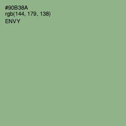 #90B38A - Envy Color Image