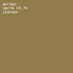 #917B4C - Leather Color Image