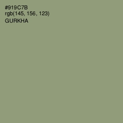 #919C7B - Gurkha Color Image