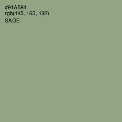 #91A584 - Sage Color Image