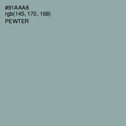 #91AAA8 - Pewter Color Image