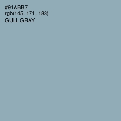 #91ABB7 - Gull Gray Color Image