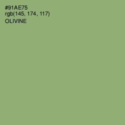 #91AE75 - Olivine Color Image
