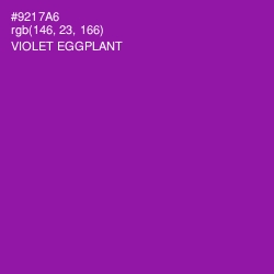 #9217A6 - Violet Eggplant Color Image