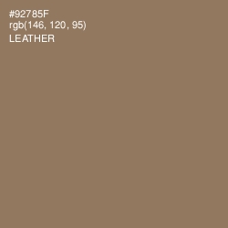 #92785F - Leather Color Image