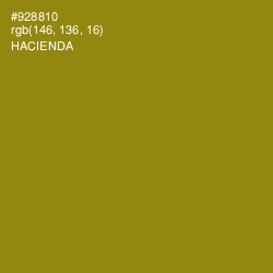 #928810 - Hacienda Color Image